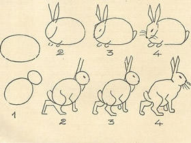 不同形态兔子简笔画画法图片步骤