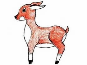 彩色的小鹿铅笔简笔画画法图片步骤
