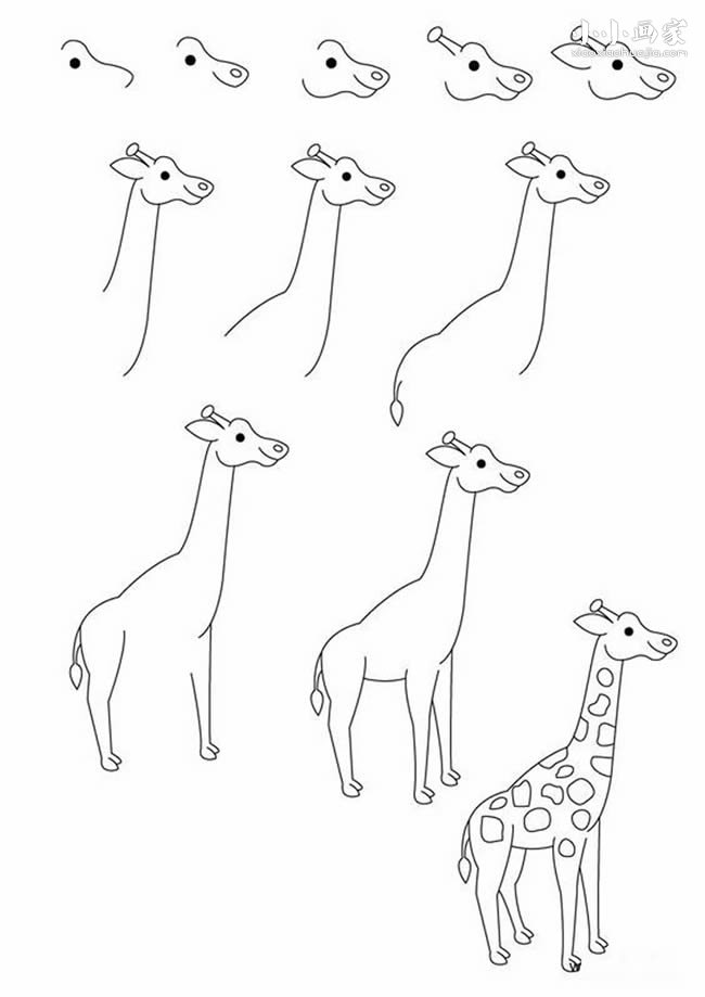 站立的长颈鹿简笔画画法图片步骤