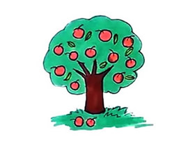 彩色苹果树简笔画画法图片步骤