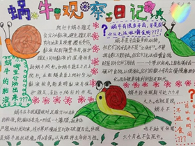 蜗牛观察日记手抄报怎么做图片三年级