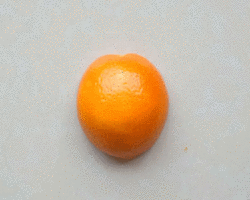 好看又简单的手工作品 橙子小瓢虫的做法