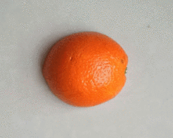 简单漂亮手工贴画制作 橙子小海龟的做法