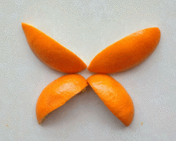 简单粘贴画图片大全 橘皮和树叶DIY小蝴蝶