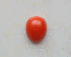 美术拼贴手工作品大全 番茄小昆虫的做法