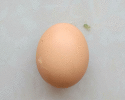 幼儿创意贴画 教你用鸡蛋和豆子DIY小猪