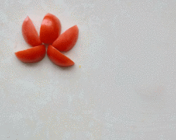 幼儿园创意拼贴画 教你用西红柿和树叶DIY小花