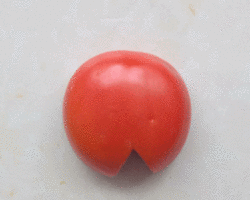 幼儿拼贴画 教你用西红柿和豆子制作瓢虫