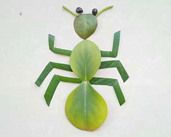 漂亮又简单的手工贴画 树叶蚂蚁的做法