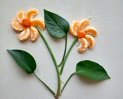 简单漂亮手工画制作大全 用橘子和树叶DIY野花做法