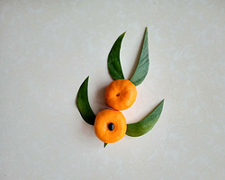 儿童创意美术水果贴画制作大全 用橘子和树叶制作燕子做法