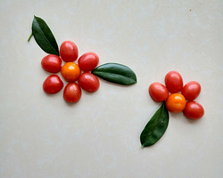 家庭小手工贴画大全 用番茄和树叶制作野花做法