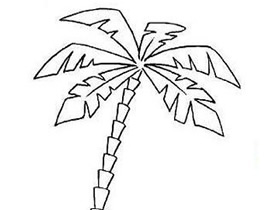 椰子树简笔画画法图片步骤