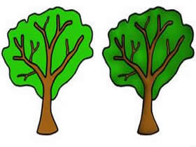 绿油油的树木简笔画画法图片步骤