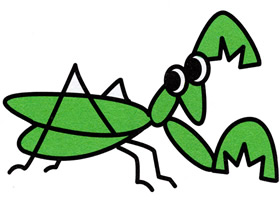 可爱小螳螂简笔画画法图片步骤