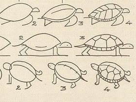 各种形态乌龟简笔画画法图片步骤