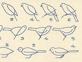 不同形态小鸟简笔画画法图片步骤