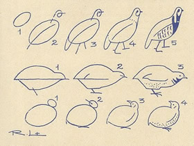 各种形态鸽子简笔画画法图片步骤