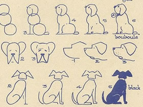 各种形态狗狗简笔画画法图片步骤