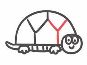 字母Y简笔画乌龟的画法图片步骤