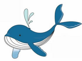 优雅的鲸鱼简笔画画法图片步骤