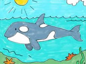 海底世界的大鲸鱼简笔画画法图片步骤