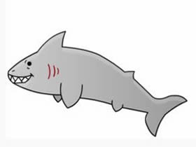 鲨鱼简笔画画法图片步骤