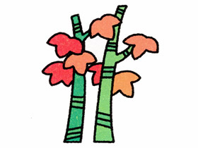 两棵枫树简笔画画法图片步骤