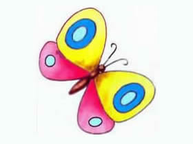 彩色的蝴蝶简笔画画法图片步骤
