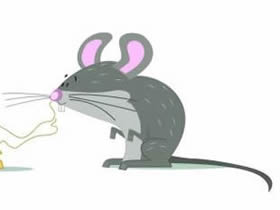 偷奶酪的小老鼠简笔画画法图片步骤