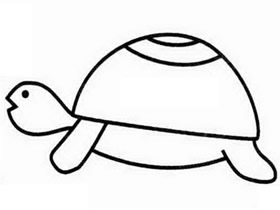 爬行乌龟简笔画画法图片步骤