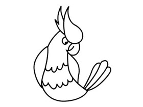 简单鹦鹉简笔画画法图片步骤