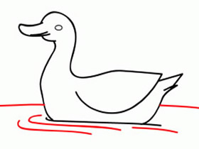 水中游的鸭子简笔画画法图片步骤