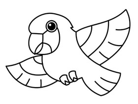 飞起的鹦鹉简笔画画法图片步骤