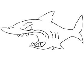 可怕的鲨鱼简笔画画法图片步骤