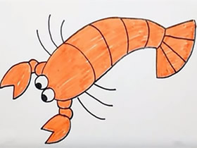 彩色小龙虾简笔画画法图片步骤