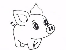 可爱卡通小猪简笔画画法图片步骤