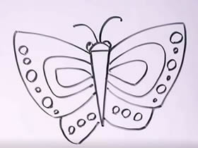 大翅膀蝴蝶简笔画画法图片步骤