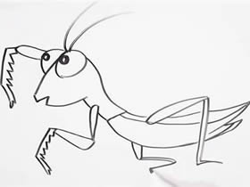 可爱螳螂简笔画画法图片步骤