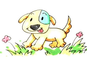 草丛中的小狗简笔画画法图片步骤